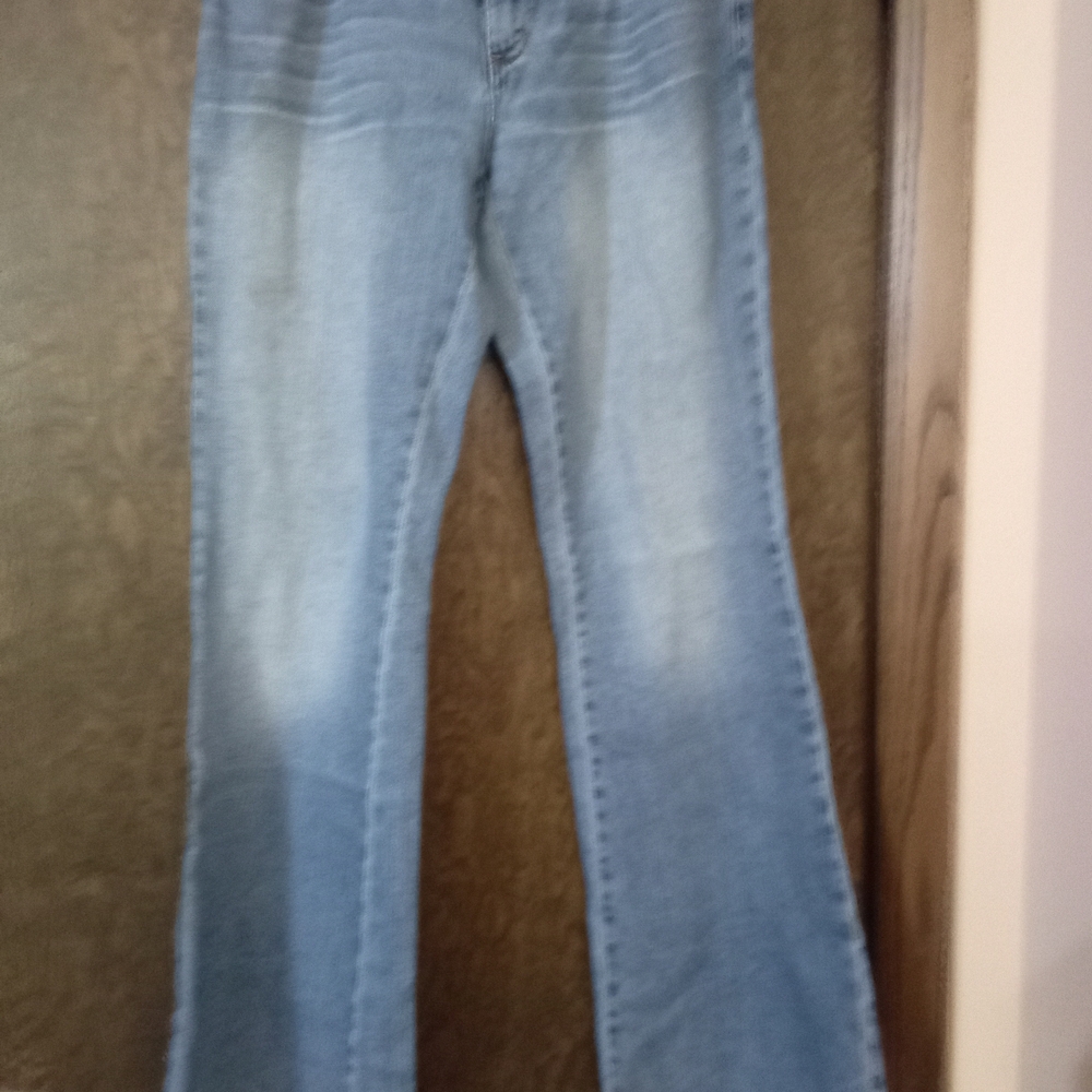 American Eagle Outfitters Light Blue Flare Jeans